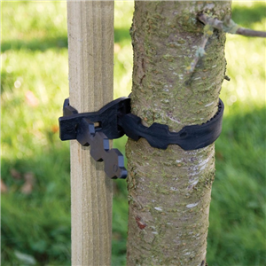 Good Life Tree Tie